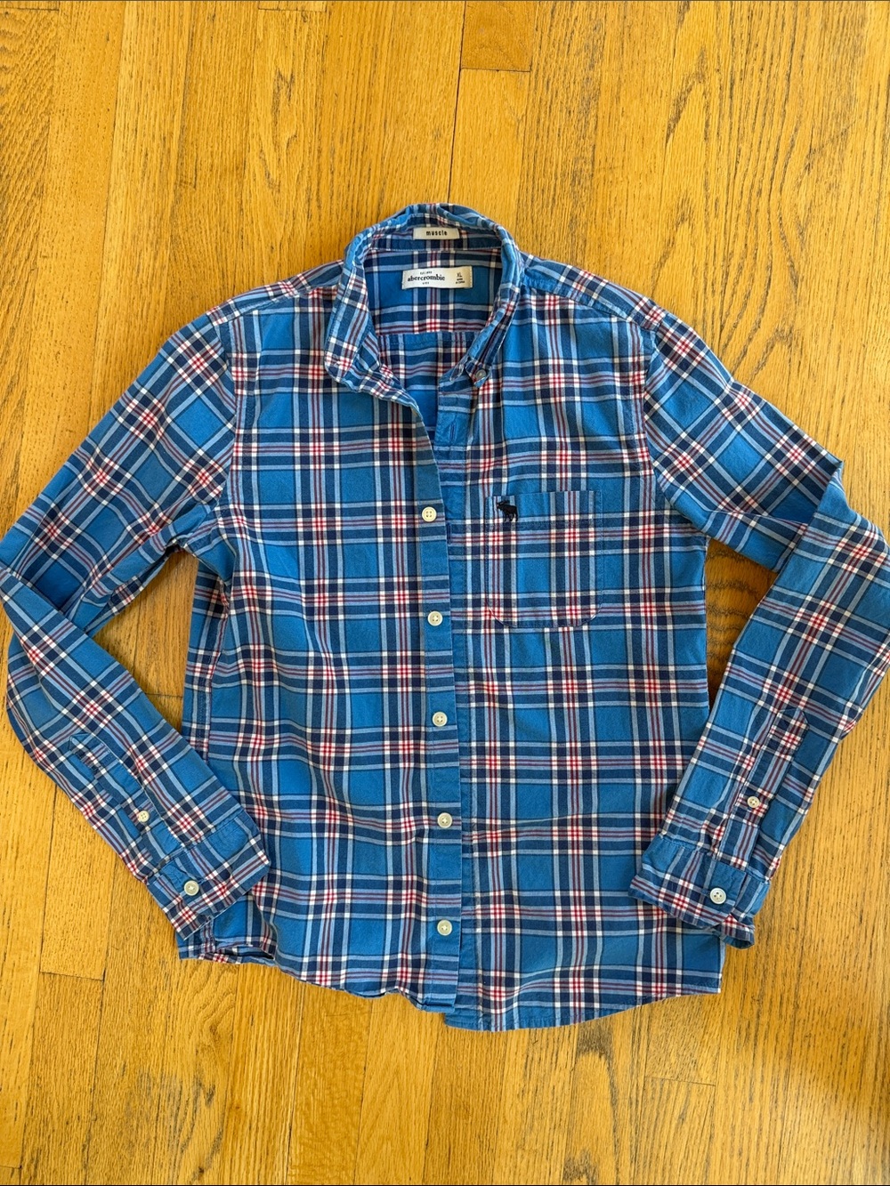 Abercrombie & Fitch kids Blue and White Plaid Button-Down Shirt with Red Accents